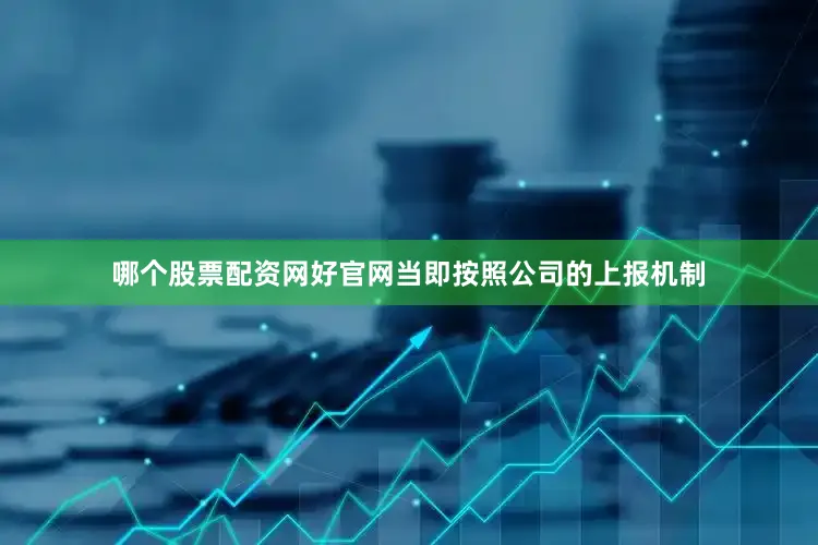哪个股票配资网好官网当即按照公司的上报机制