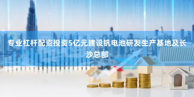 专业杠杆配资投资5亿元建设钒电池研发生产基地及长沙总部